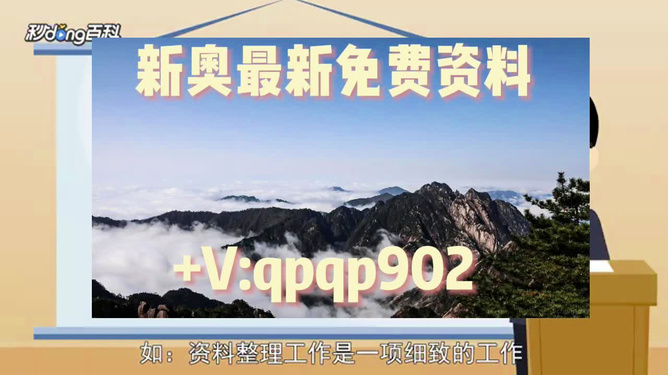 新奥正板全年免费资料,最佳精选解释落实