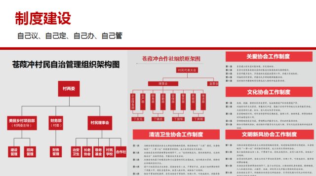 新奥精准资料免费提供510期,富强解释解析落实