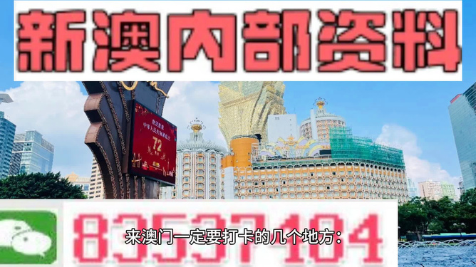 2024新澳最精准资料222期-精选解释解析落实