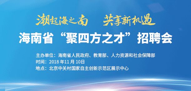 探索与发现，走进597云霄人才网站的世界