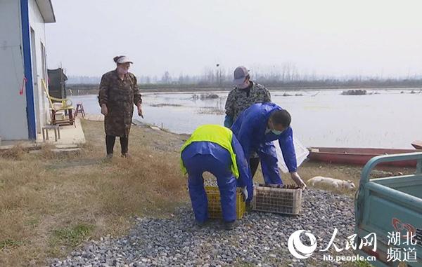 潜江招聘新势力，58同城网重塑招聘生态